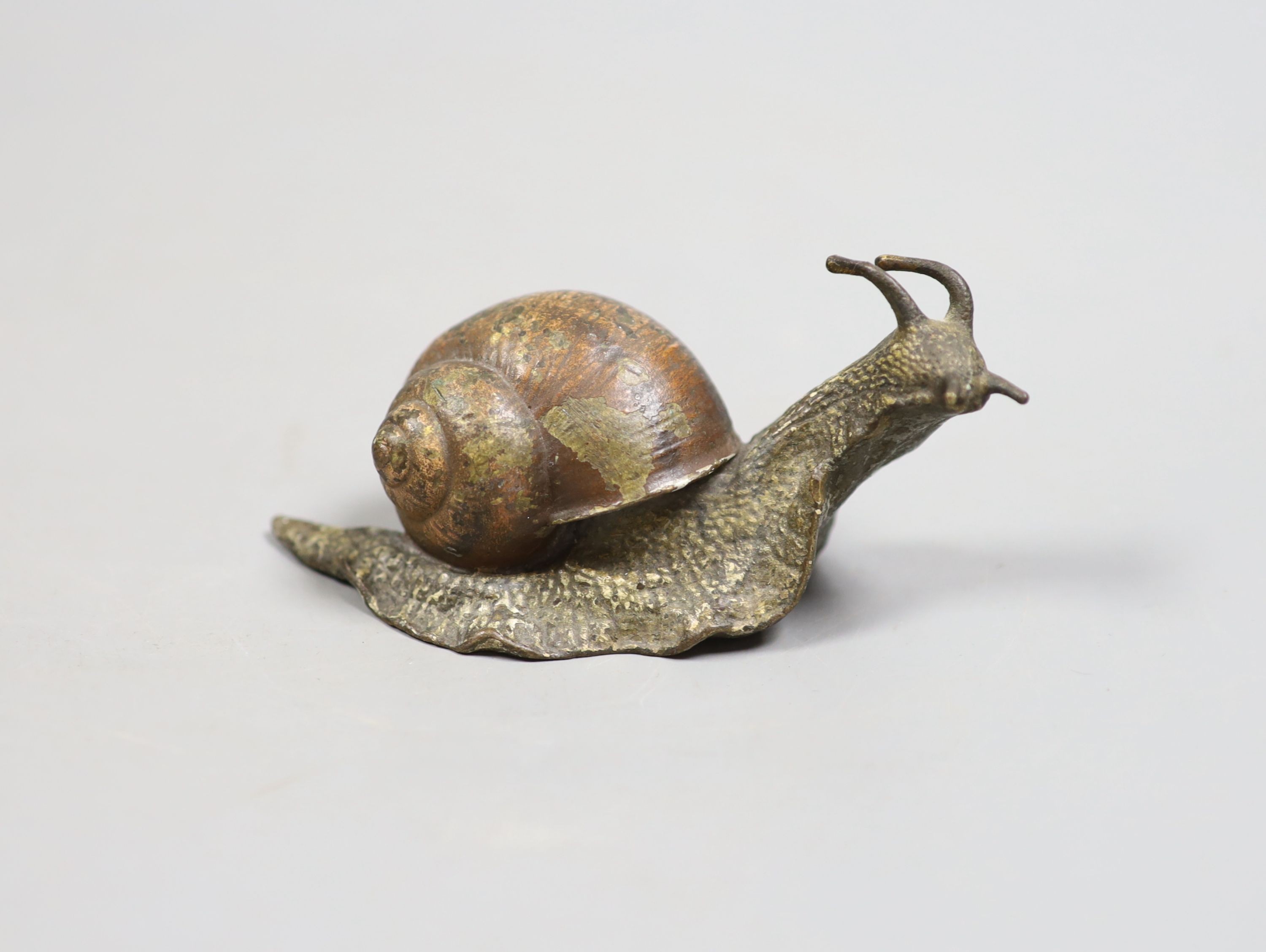 An Austrian cold painted bronze of a snail, 9.5cm